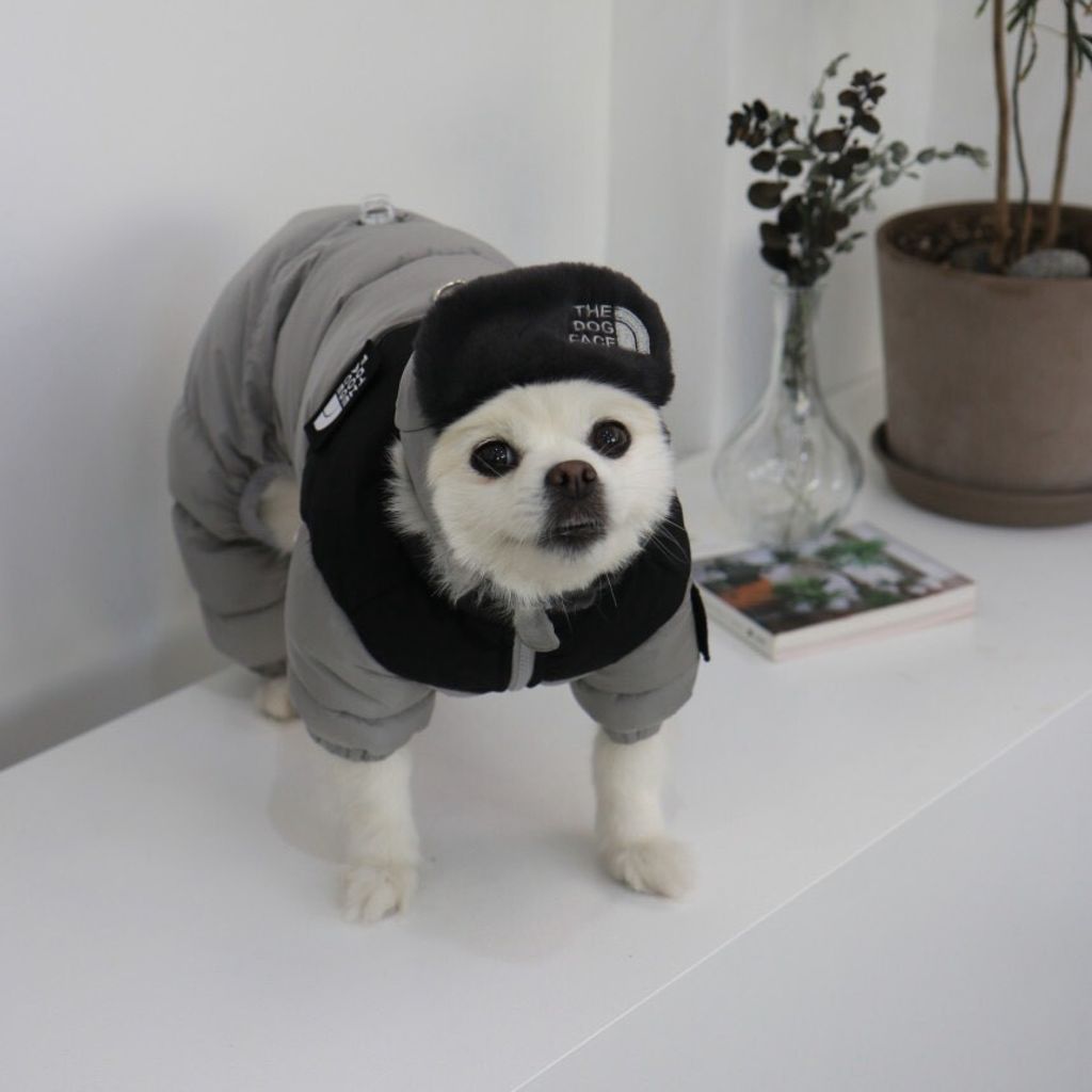 LINE_ALBUM_Doggyholic 3_251118_78