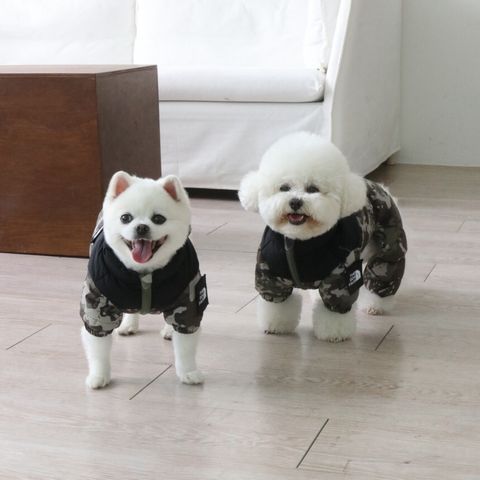 LINE_ALBUM_Doggyholic 3_251118_96