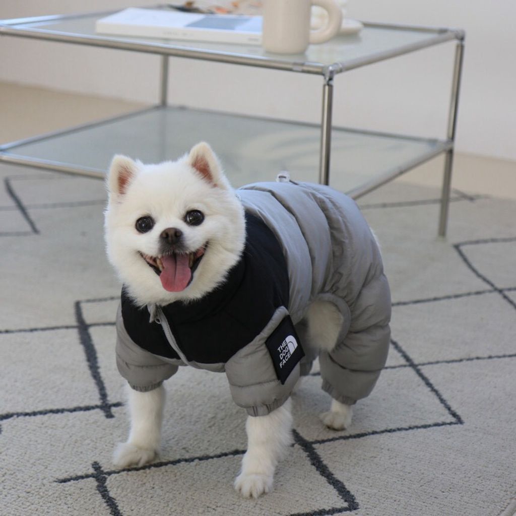 LINE_ALBUM_Doggyholic 3_251118_90