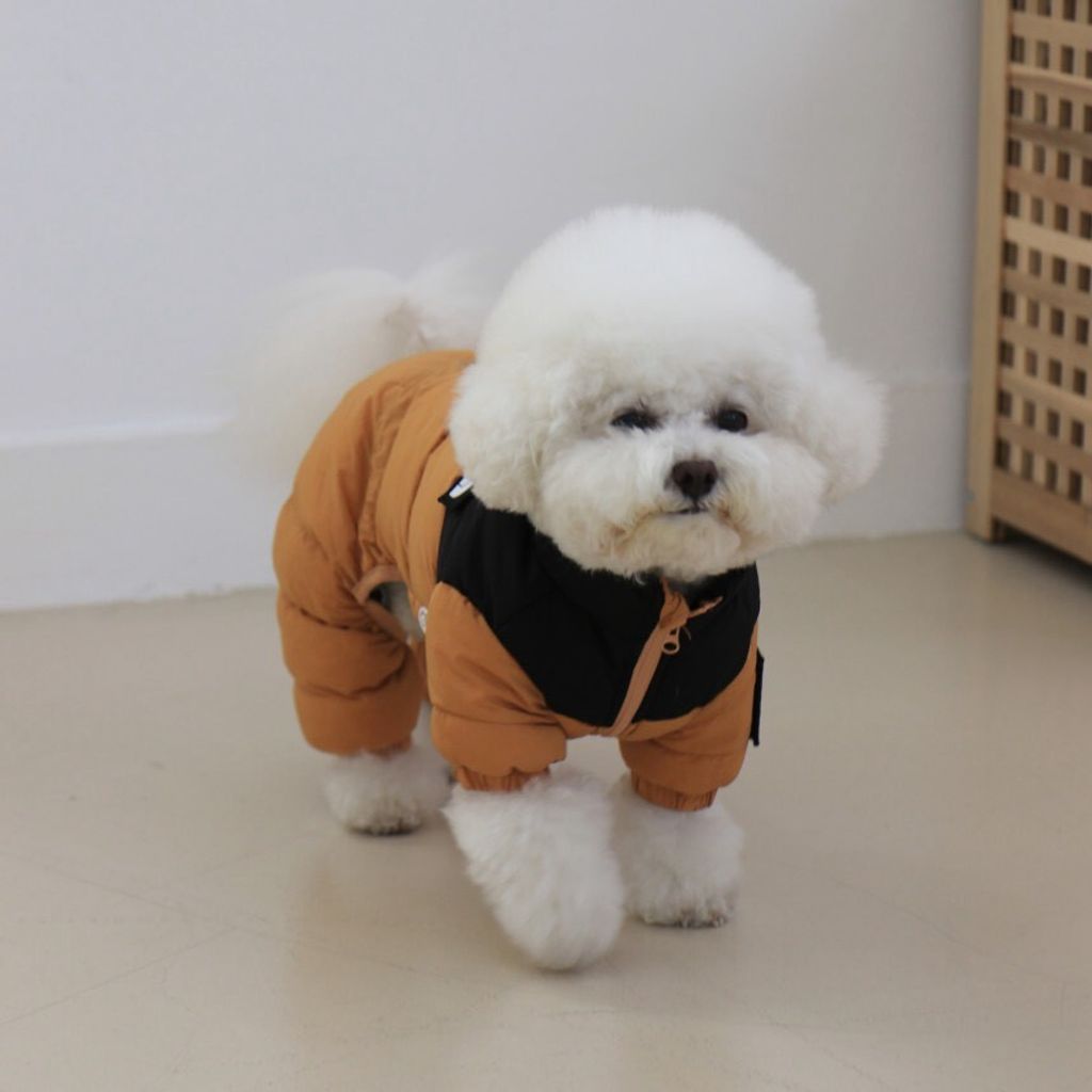LINE_ALBUM_Doggyholic 3_251118_75