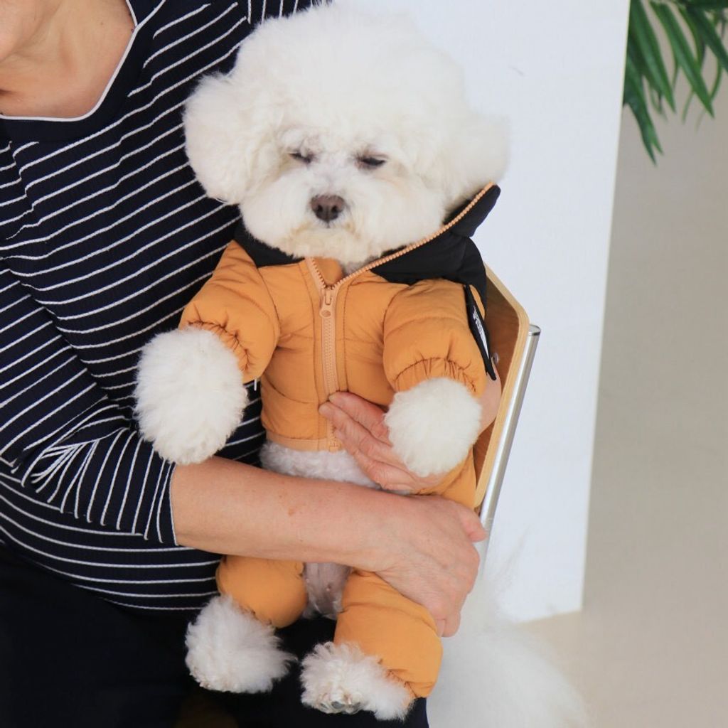 LINE_ALBUM_Doggyholic 3_251118_94