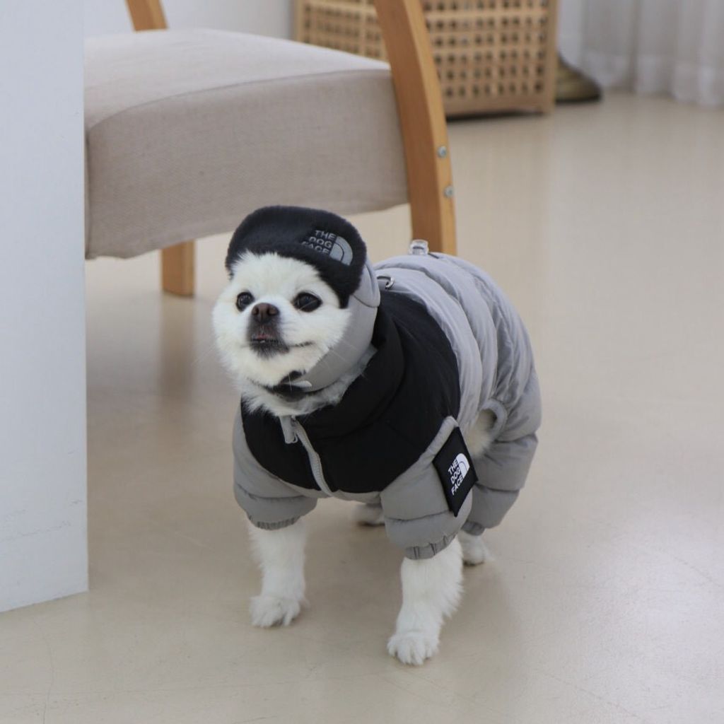 LINE_ALBUM_Doggyholic 3_251118_79