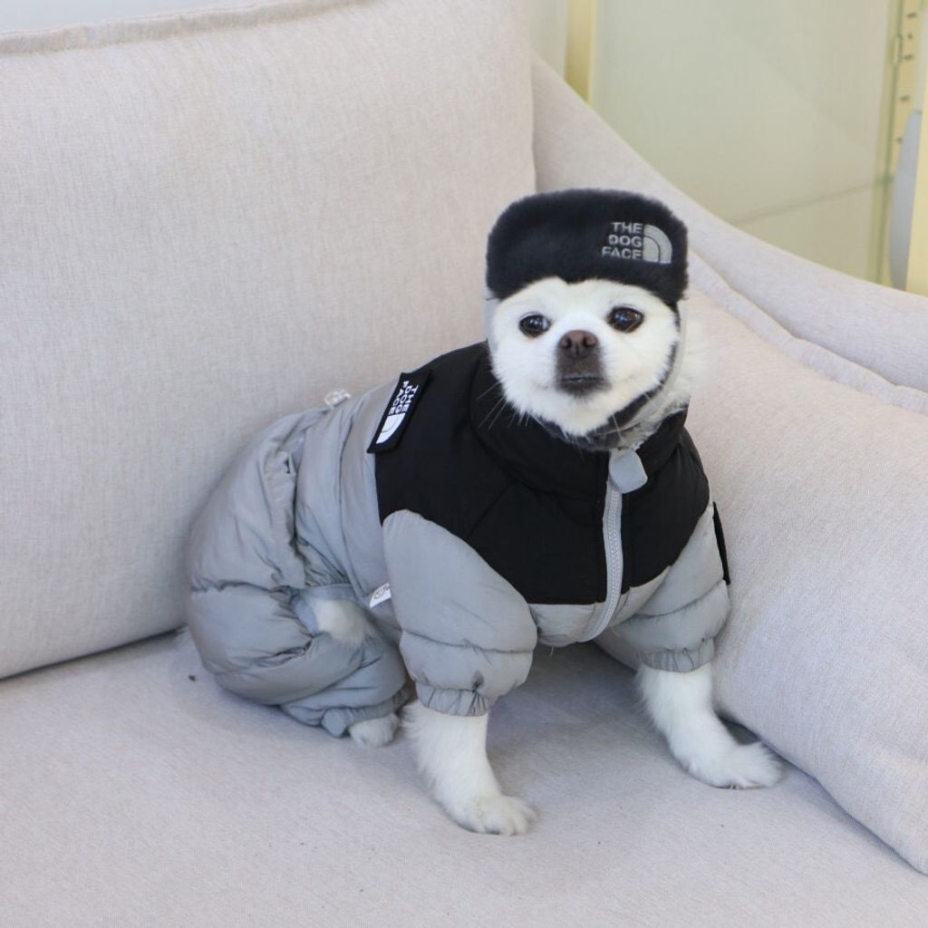 LINE_ALBUM_Doggyholic 3_251118_84