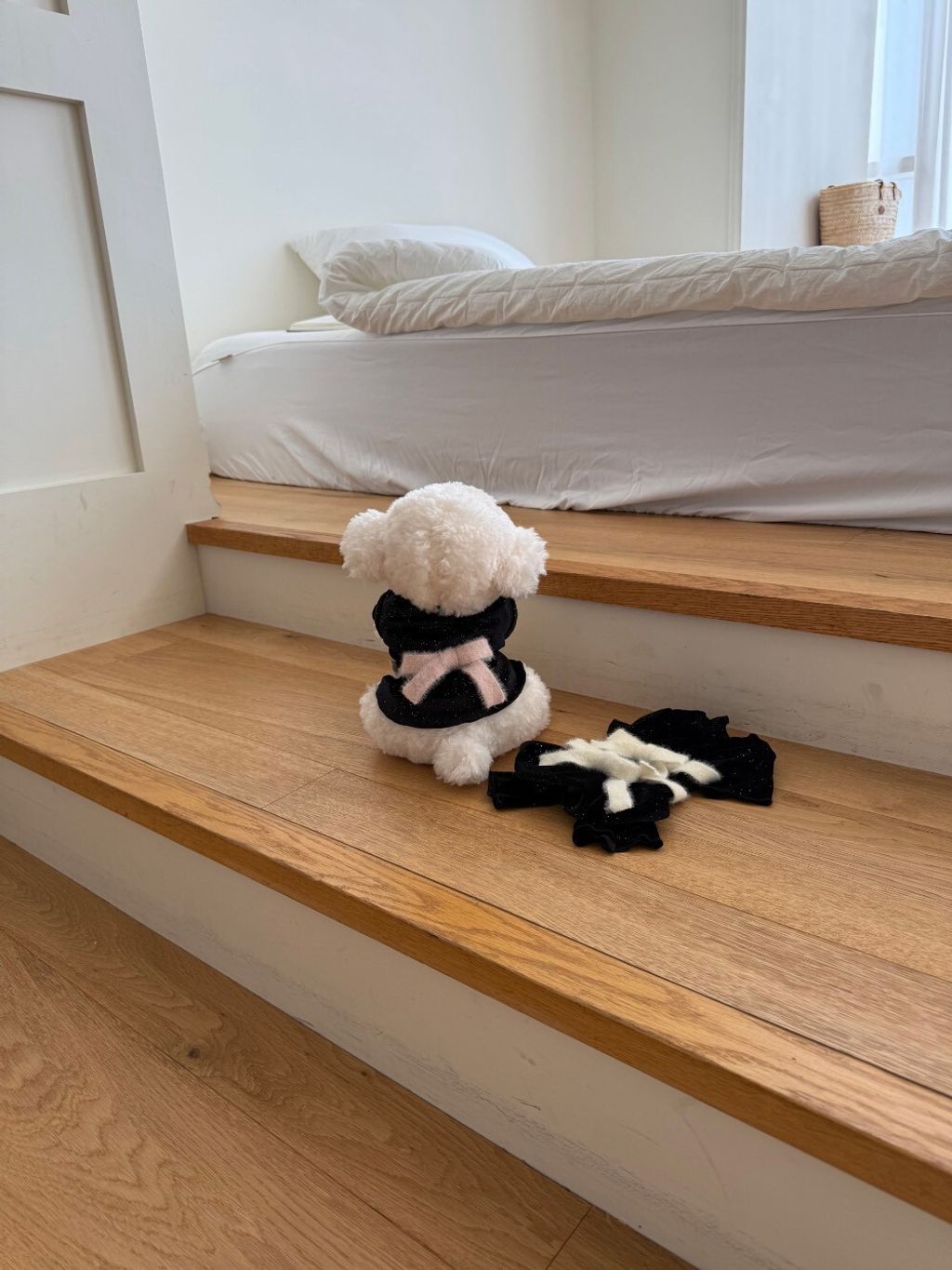 LINE_ALBUM_Doggyholic 3_251118_58