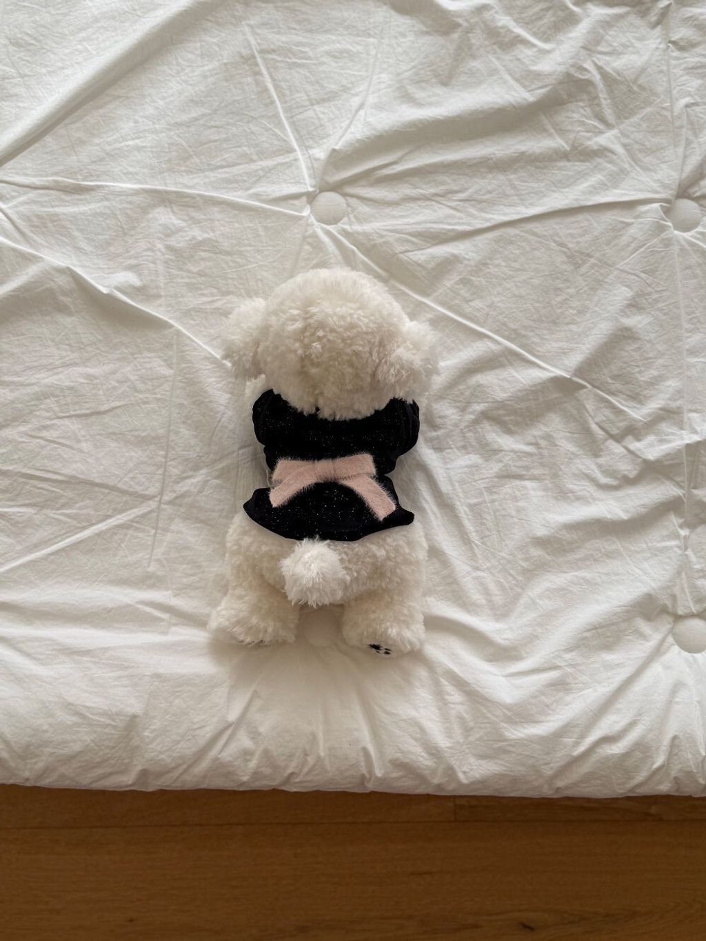 LINE_ALBUM_Doggyholic 3_251118_56