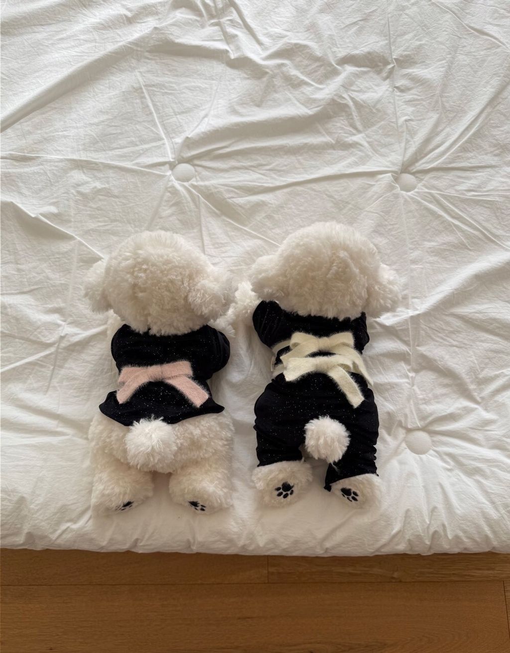 LINE_ALBUM_Doggyholic 3_251118_64