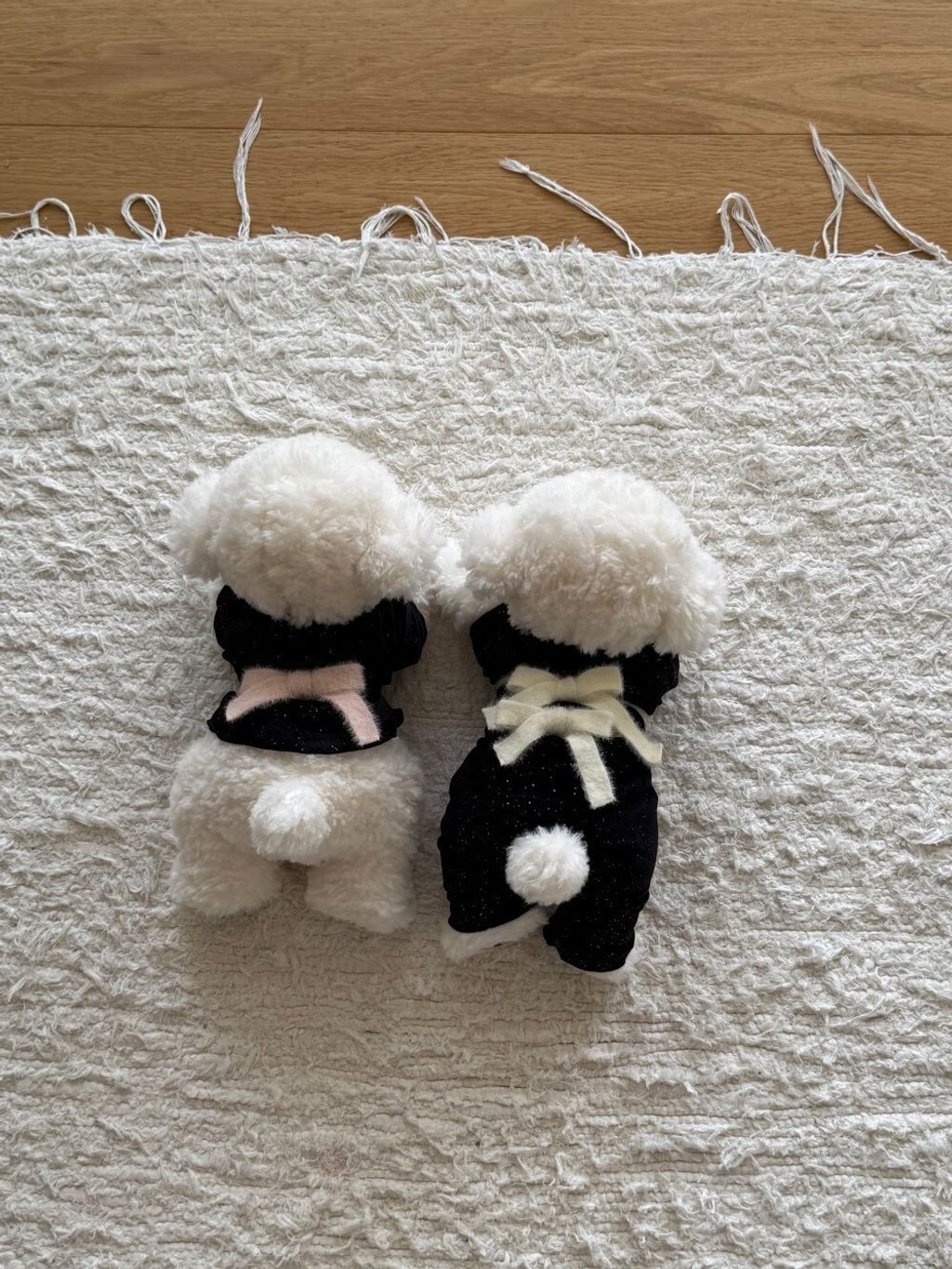 LINE_ALBUM_Doggyholic 3_251118_61