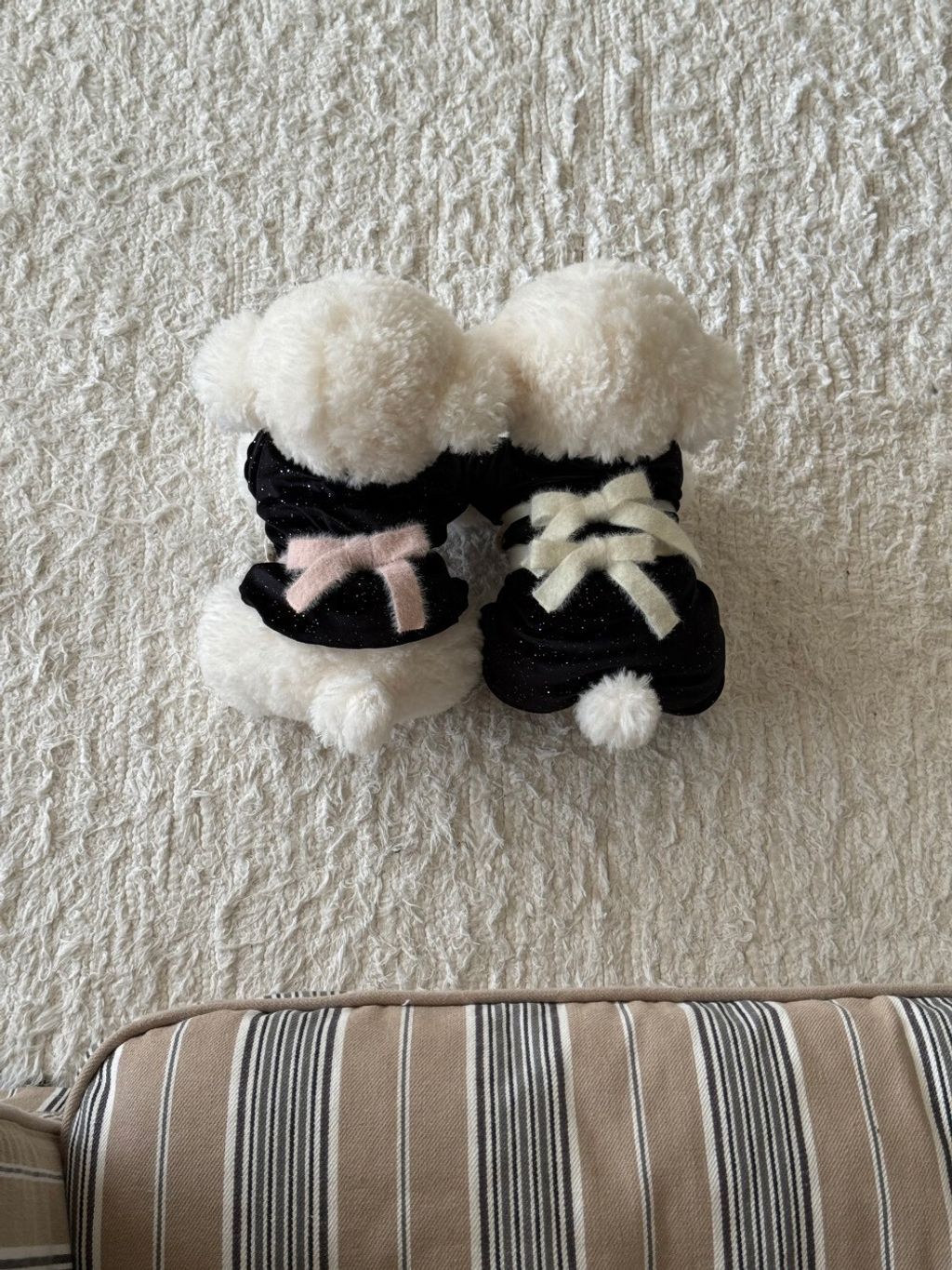 LINE_ALBUM_Doggyholic 3_251118_57