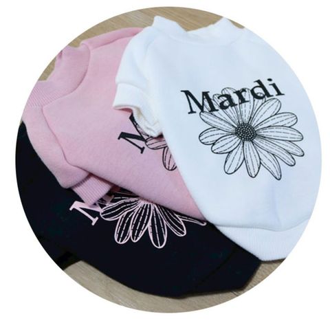 LINE_ALBUM_Doggyholic 3_251118_37