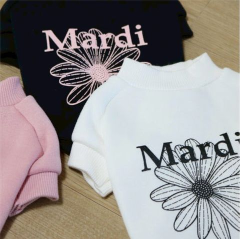 LINE_ALBUM_Doggyholic 3_251118_36