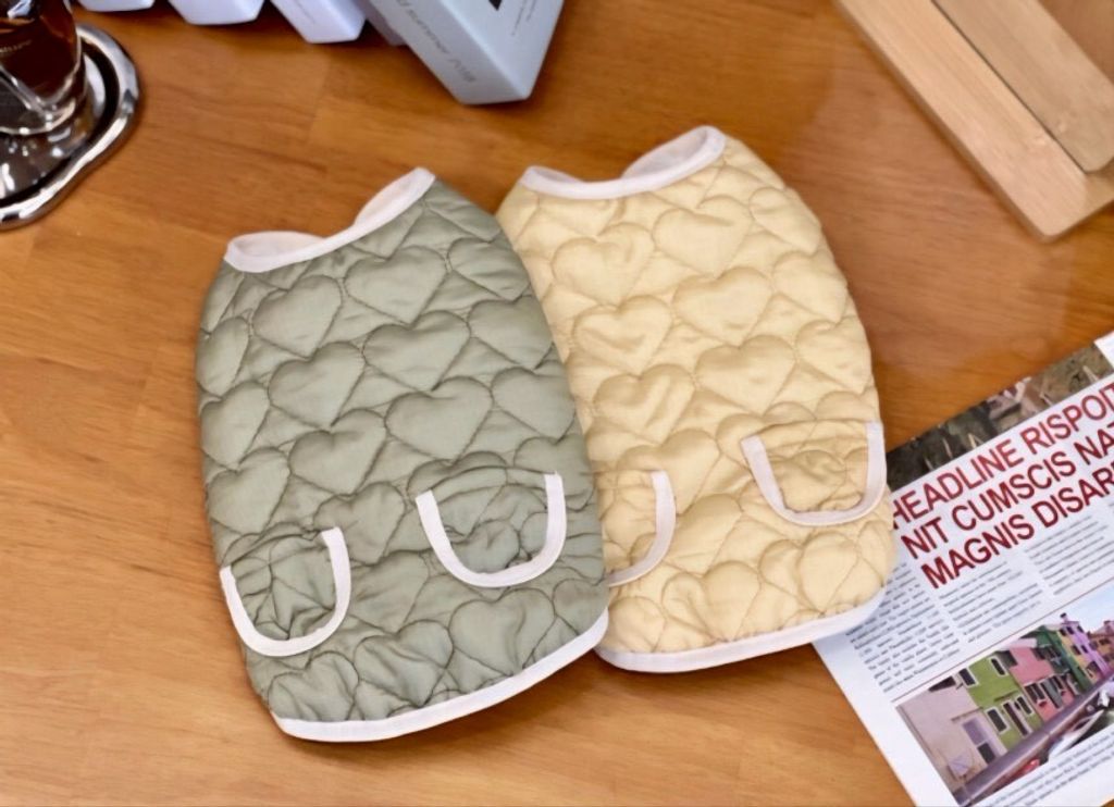 LINE_ALBUM_20251119_251119_23