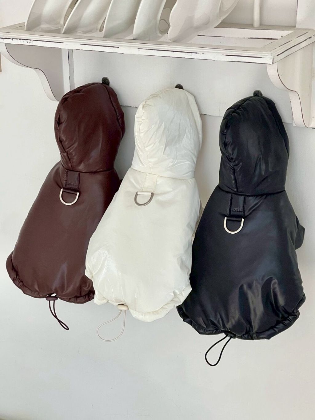 LINE_ALBUM_20251119_251119_6