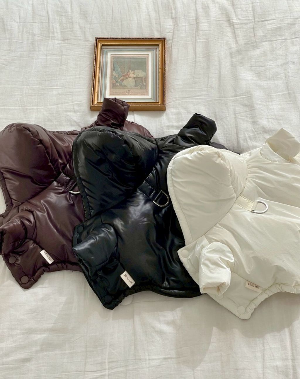 LINE_ALBUM_20251119_251119_8