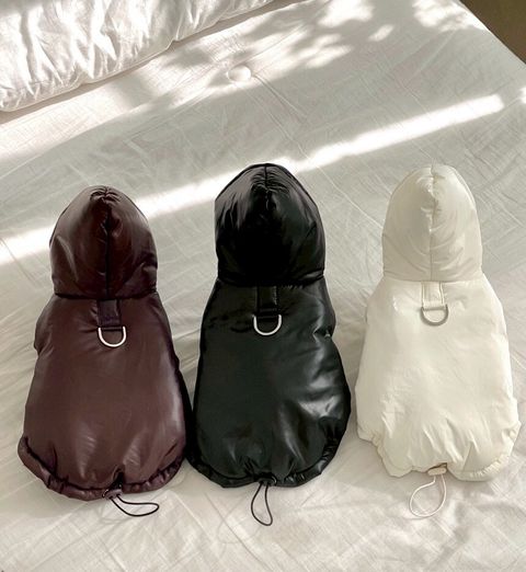 LINE_ALBUM_20251119_251119_14