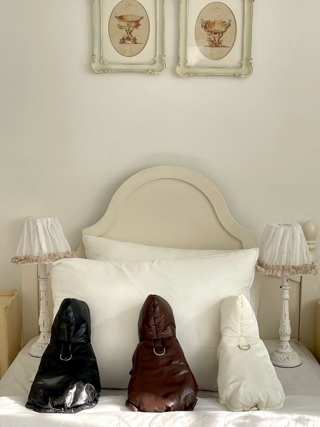 LINE_ALBUM_20251119_251119_10