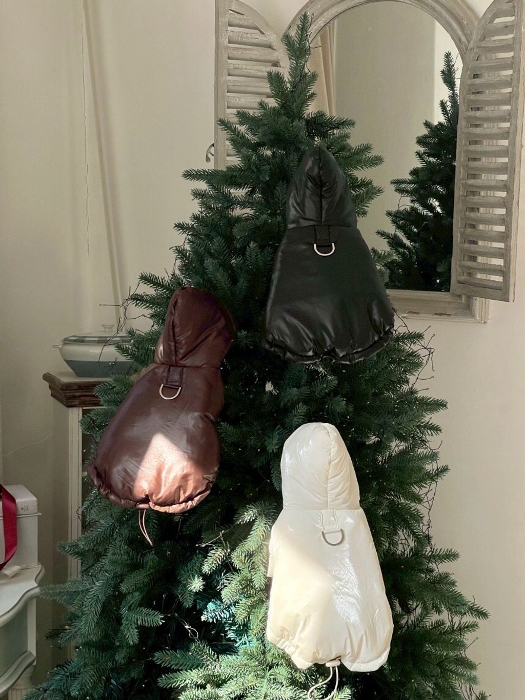 LINE_ALBUM_20251119_251119_11