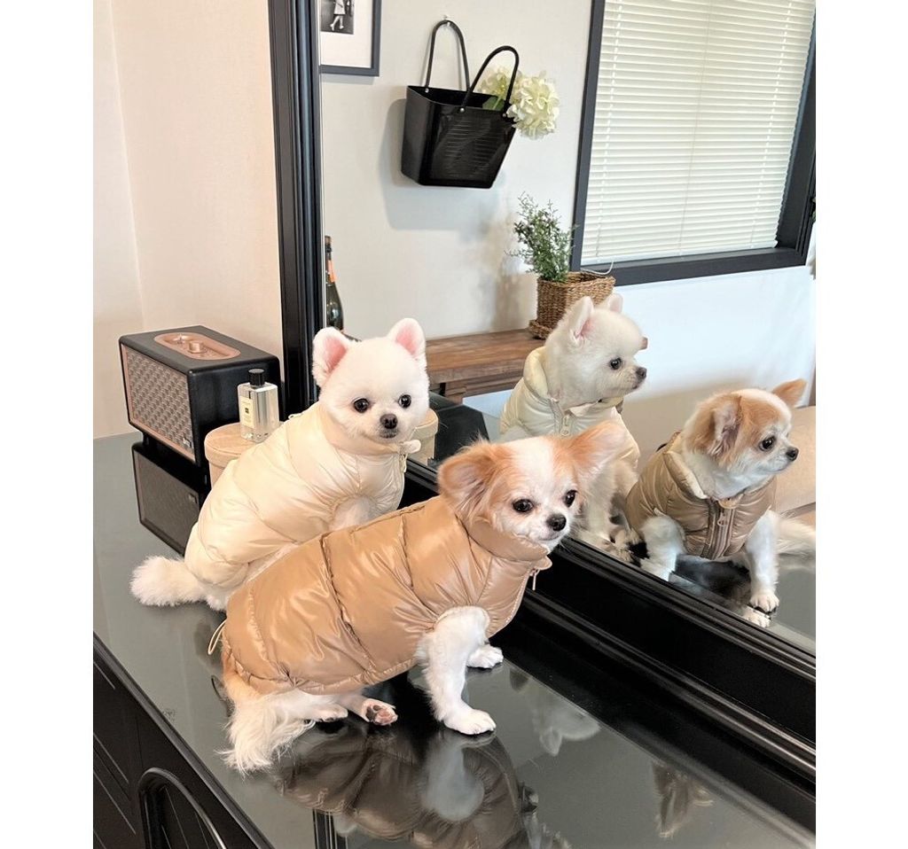 LINE_ALBUM_Appleapple_251120_84