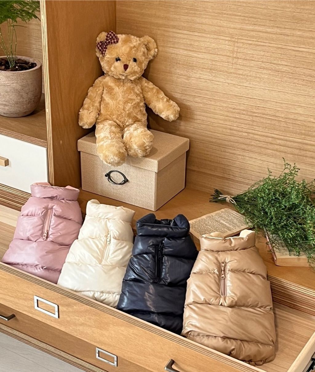 LINE_ALBUM_Appleapple_251120_96