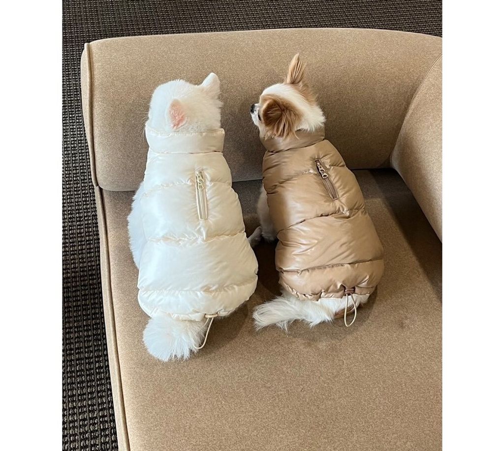 LINE_ALBUM_Appleapple_251120_85