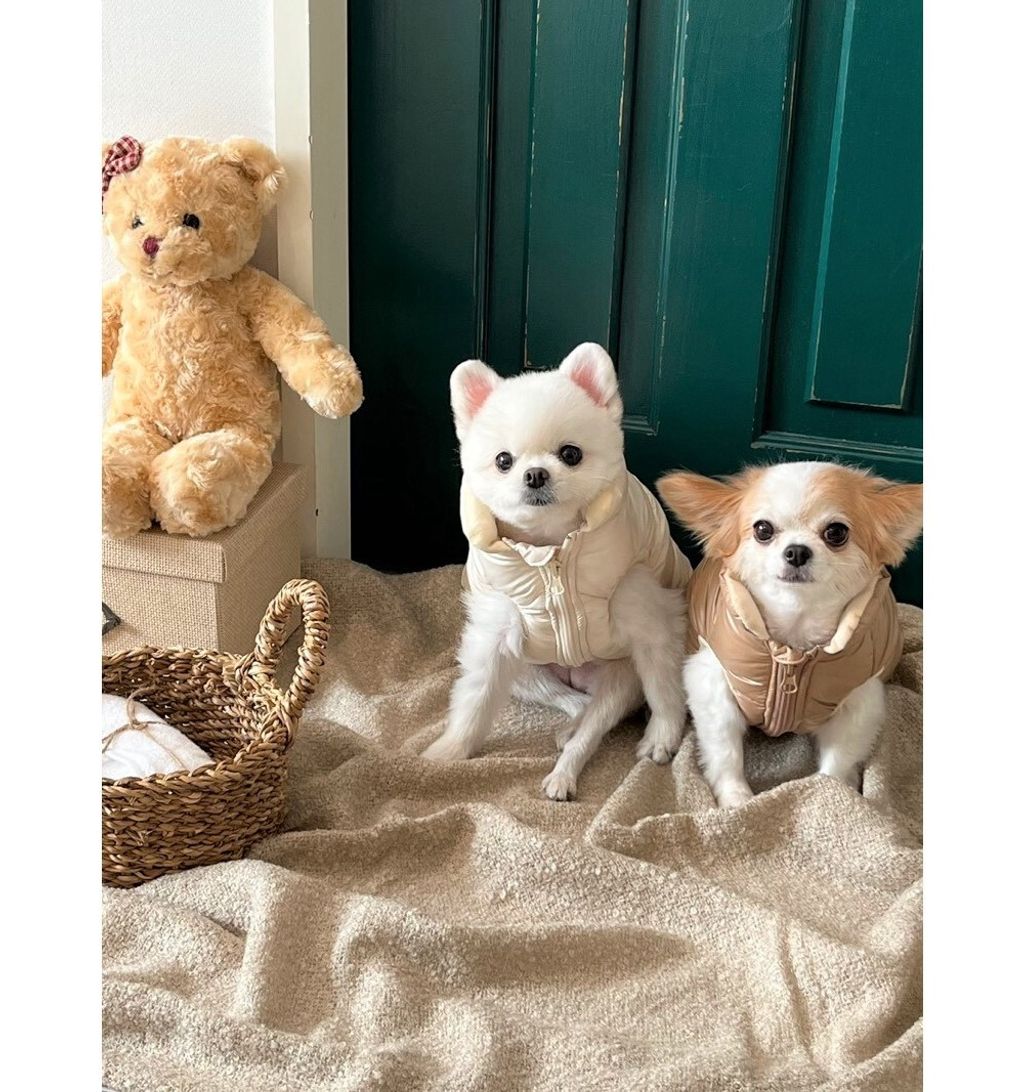 LINE_ALBUM_Appleapple_251120_89