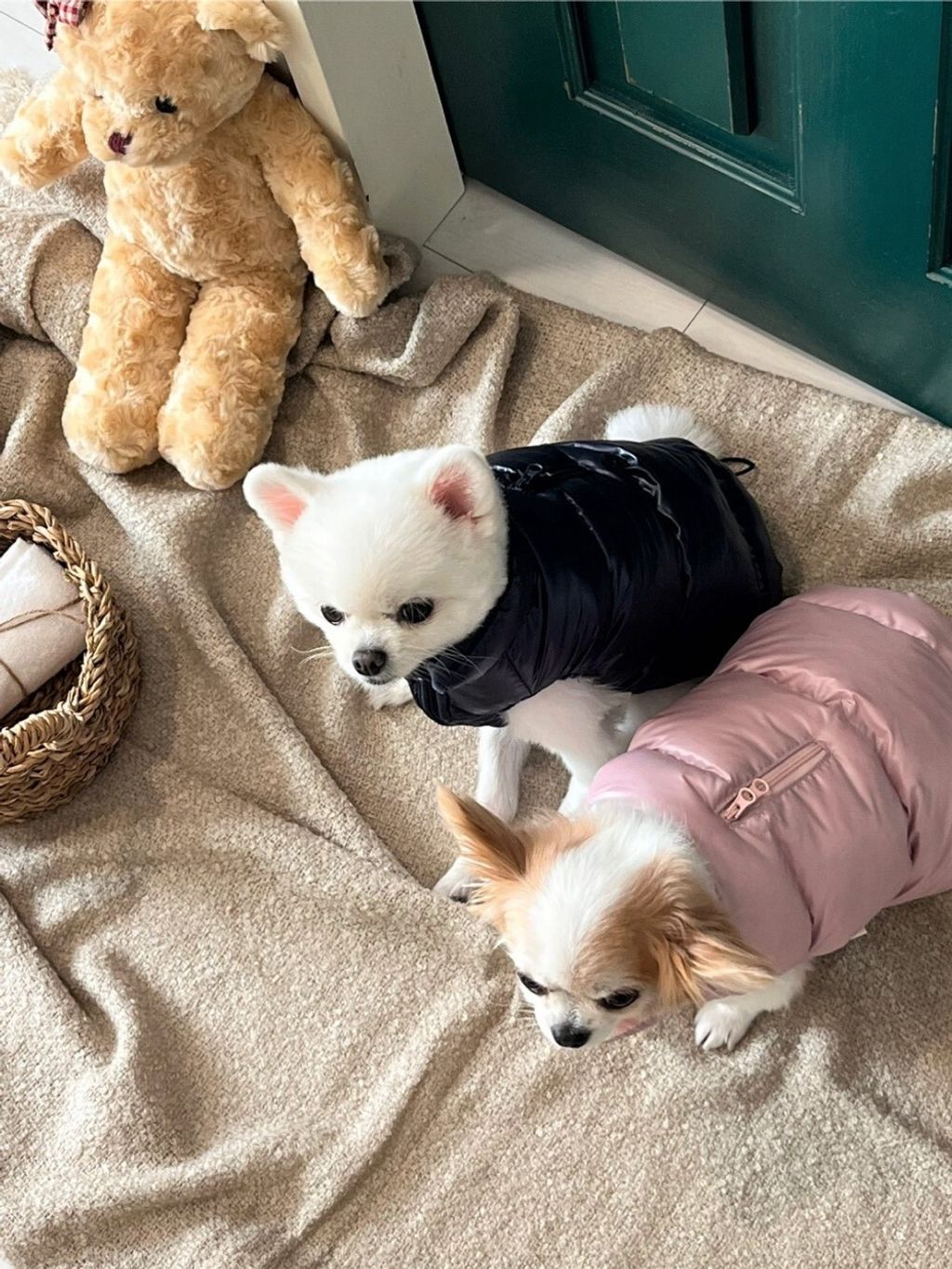 LINE_ALBUM_Appleapple_251120_92