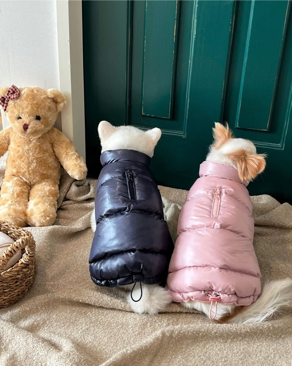 LINE_ALBUM_Appleapple_251120_91