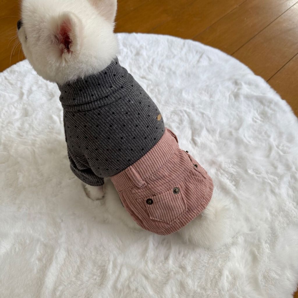 LINE_ALBUM_Appleapple_251120_61