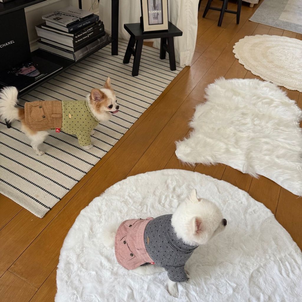 LINE_ALBUM_Appleapple_251120_62