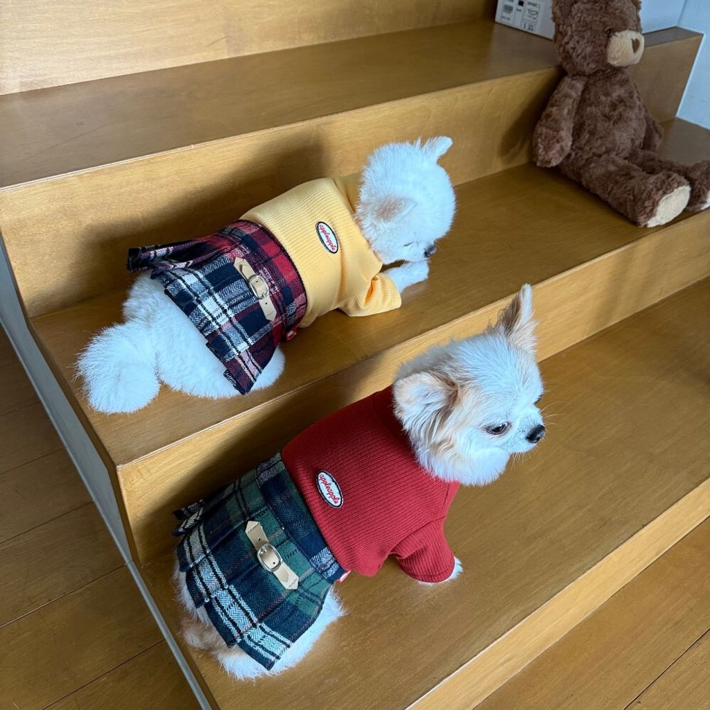 LINE_ALBUM_Appleapple_251120_51