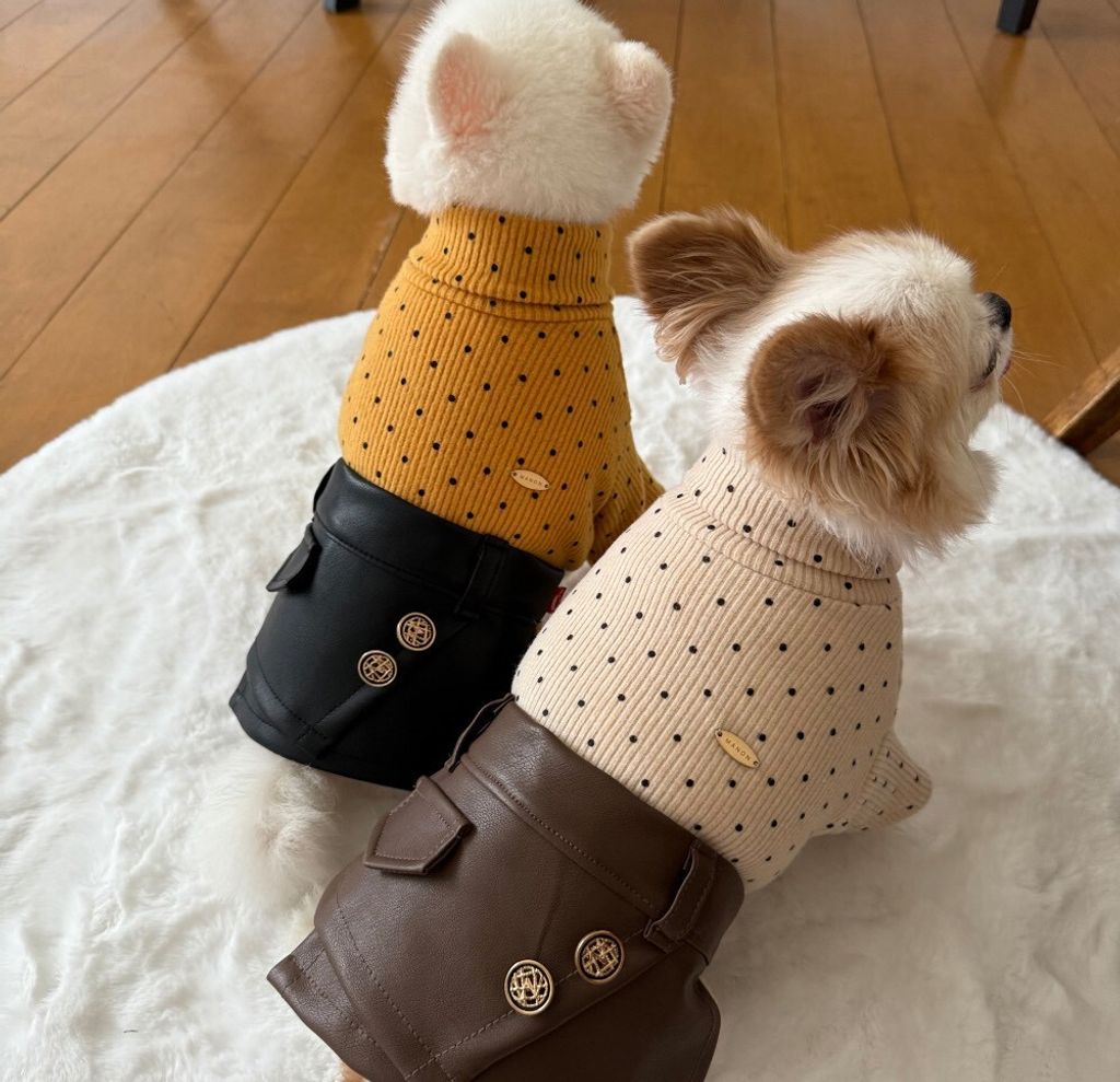 LINE_ALBUM_Appleapple_251120_49