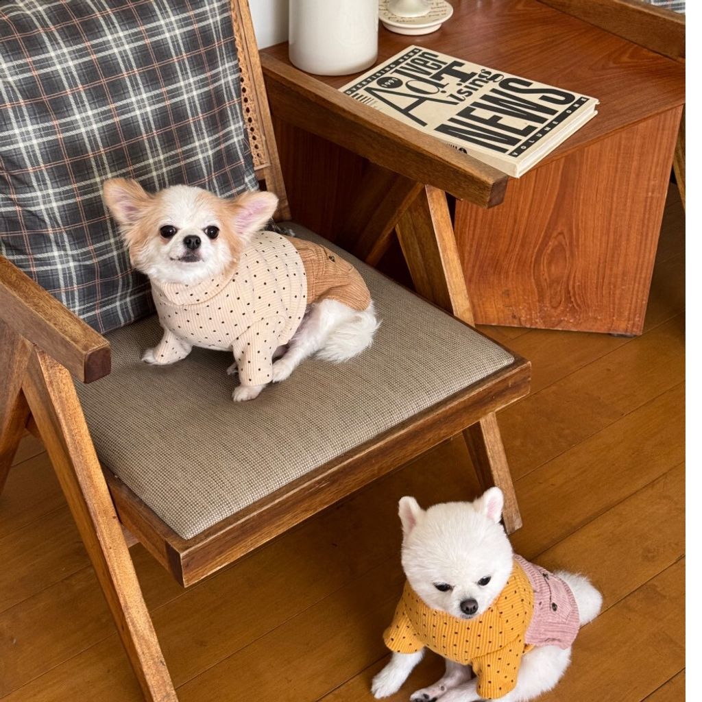 LINE_ALBUM_Appleapple_251120_60