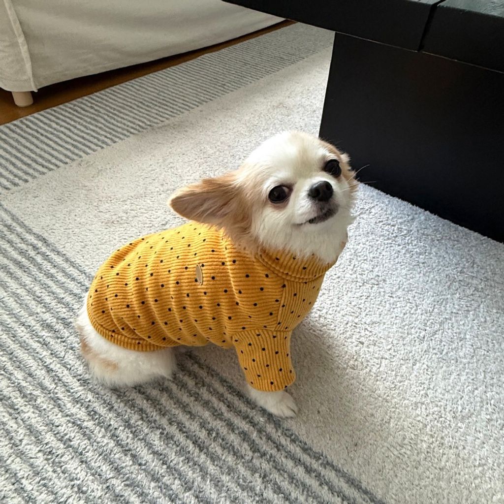 LINE_ALBUM_Appleapple_251120_18