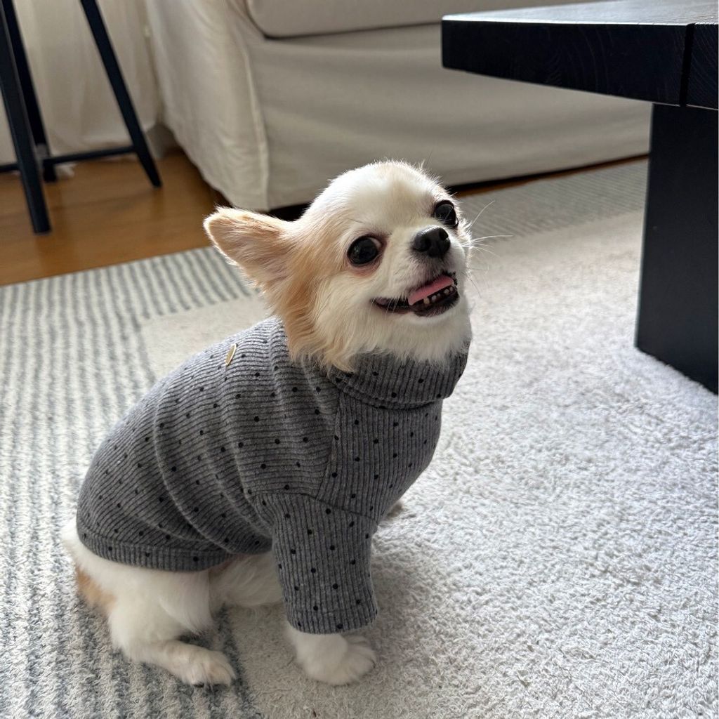 LINE_ALBUM_Appleapple_251120_21