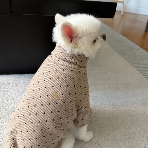 LINE_ALBUM_Appleapple_251120_23