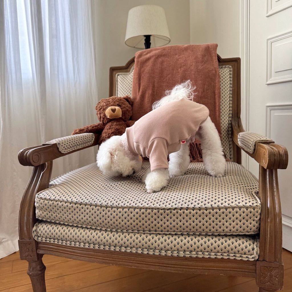 LINE_ALBUM_Appleapple_251120_8