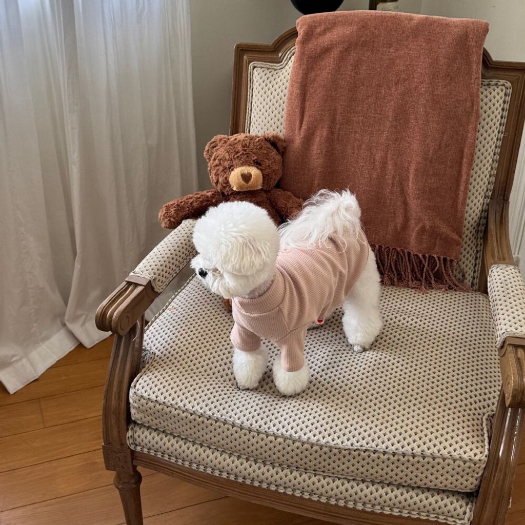 LINE_ALBUM_Appleapple_251120_7