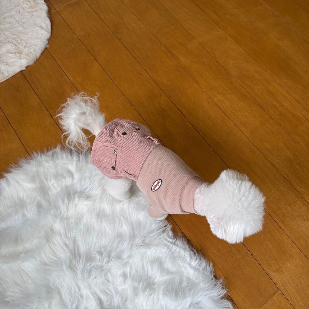 LINE_ALBUM_Appleapple_251120_9