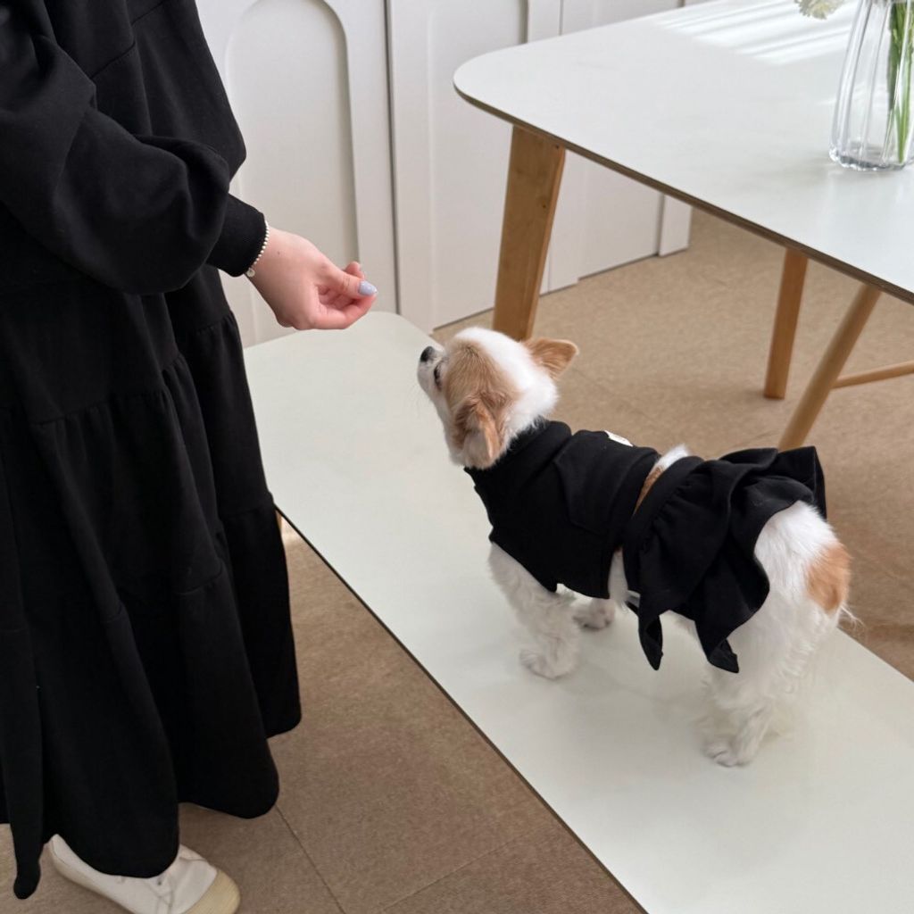 LINE_ALBUM_Appleapple_251120_30