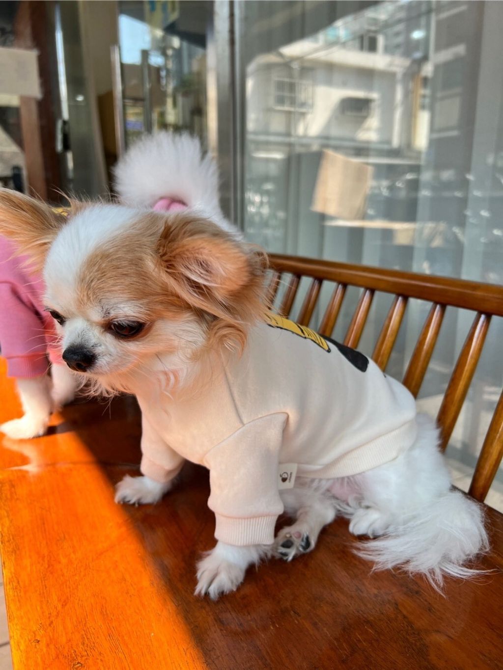 LINE_ALBUM_Appleapple_251120_12