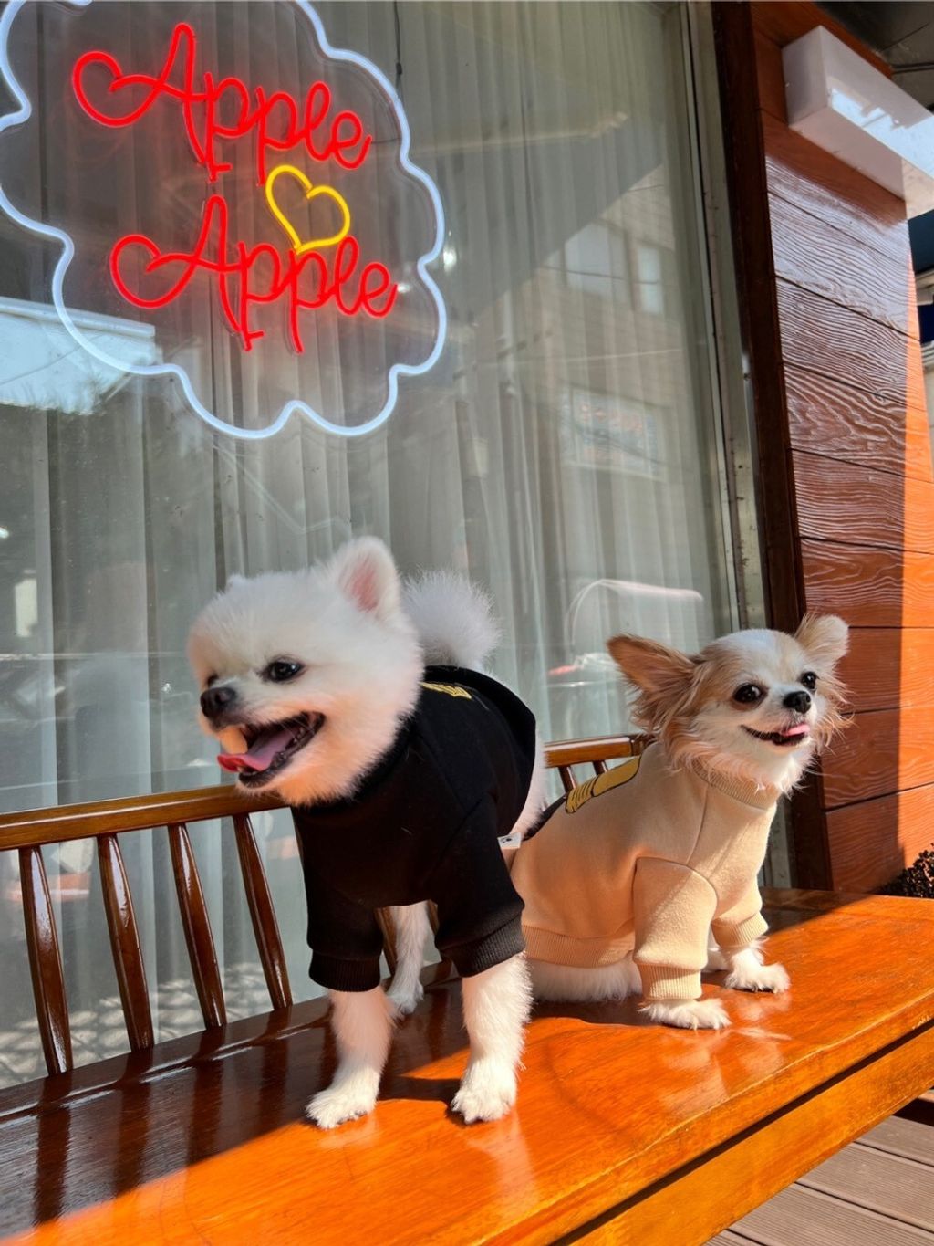 LINE_ALBUM_Appleapple_251120_10