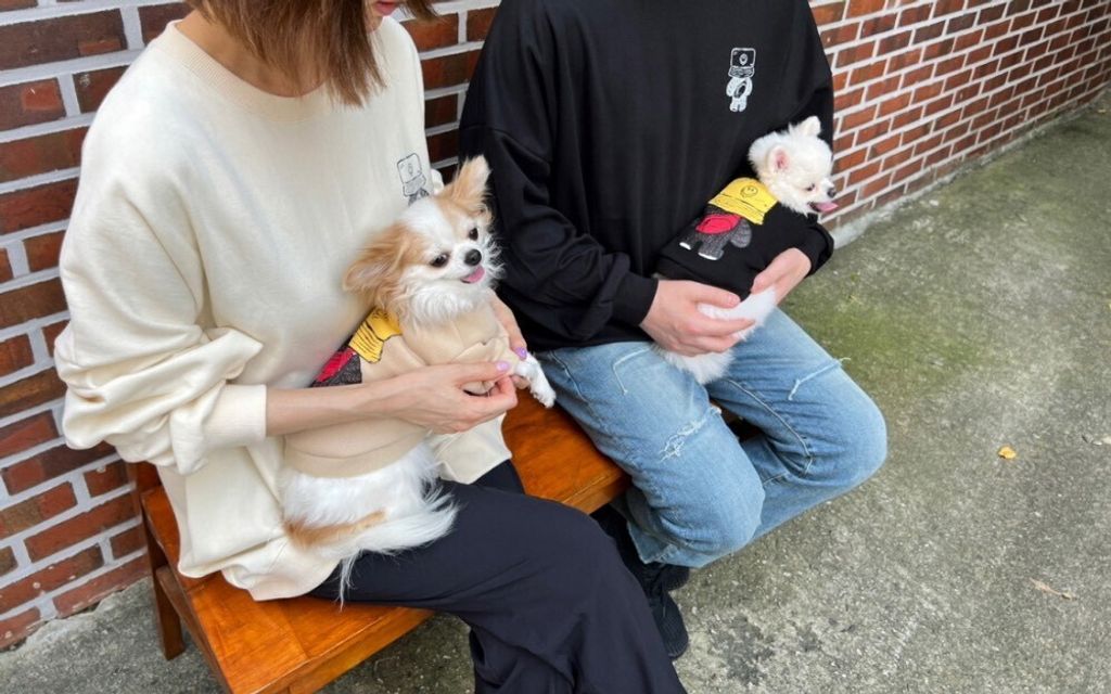 LINE_ALBUM_Appleapple_251120_31