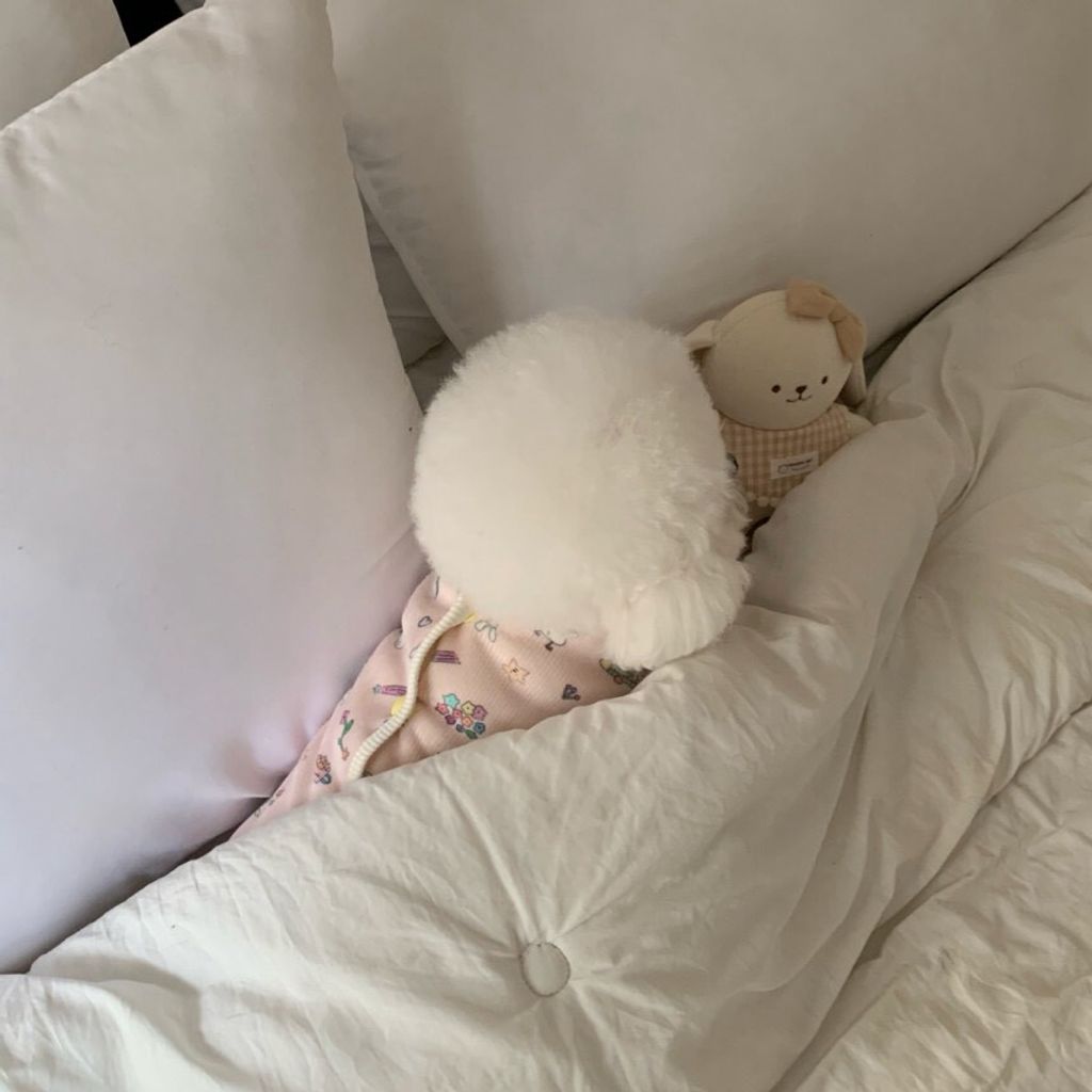 LINE_ALBUM_Doggyholic 3_251203_74