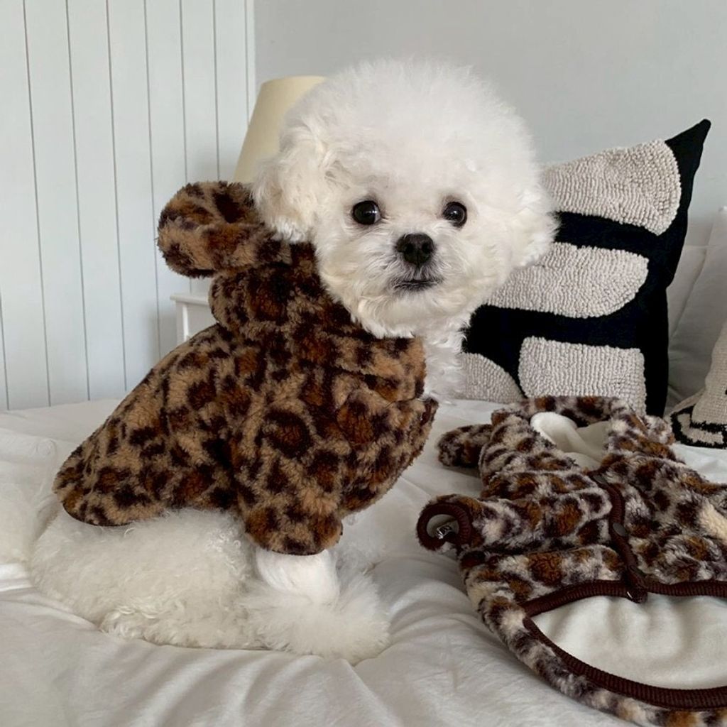 LINE_ALBUM_Doggyholic 3_251203_64