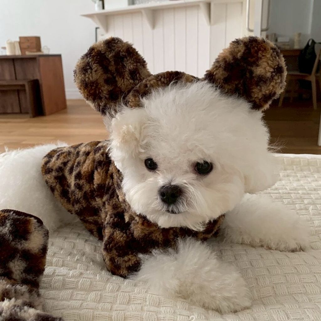 LINE_ALBUM_Doggyholic 3_251203_59