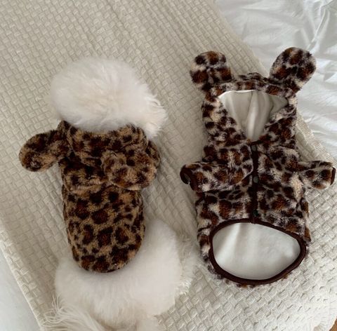 LINE_ALBUM_Doggyholic 3_251203_57