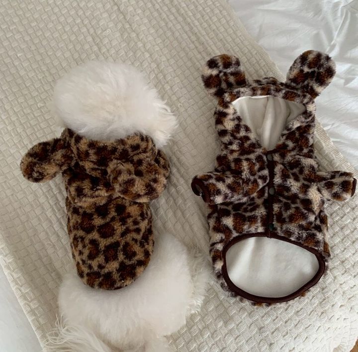 LINE_ALBUM_Doggyholic 3_251203_57