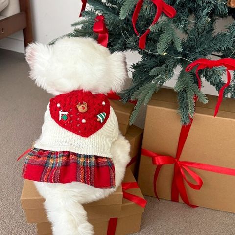 LINE_ALBUM_Doggyholic 3_251203_23