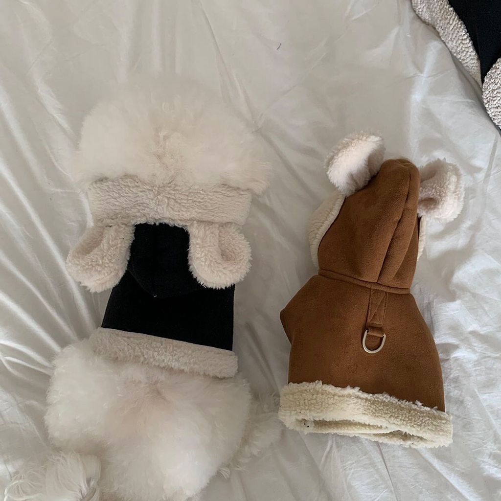 LINE_ALBUM_Frei_251205_4