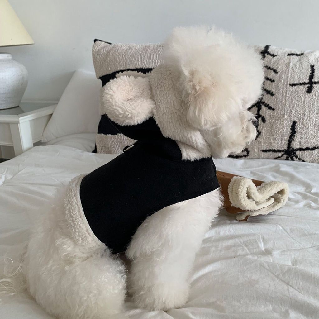 LINE_ALBUM_Frei_251205_3