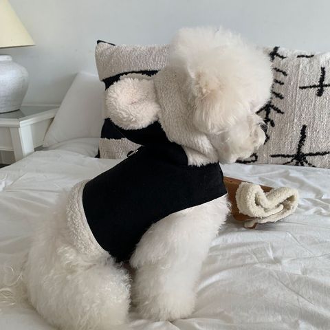 LINE_ALBUM_Frei_251205_3